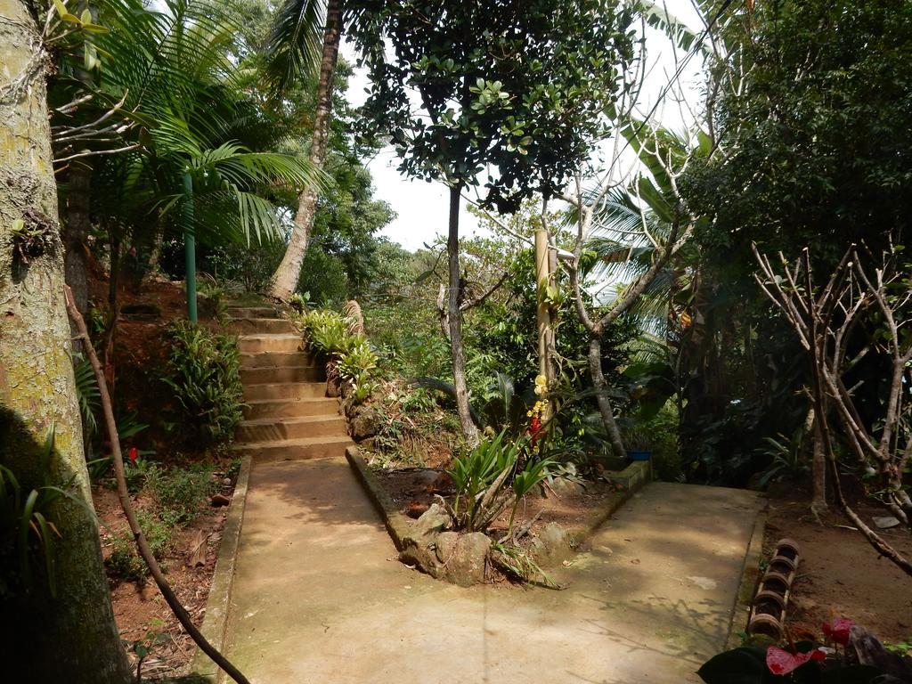 Pousada Mar De Sonhos Praia de Aracatiba Ngoại thất bức ảnh